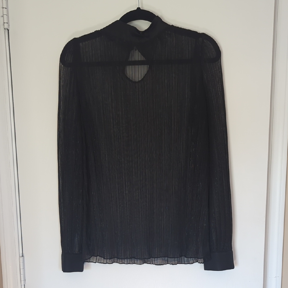 Chic Black Sheer Women's Blouse